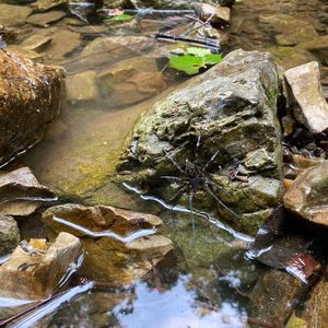 Meet your Posher, Georgia